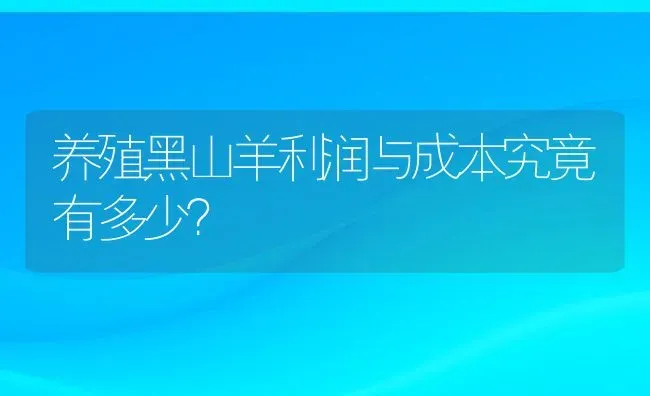 养殖黑山羊利润与成本究竟有多少？ | 动物养殖百科