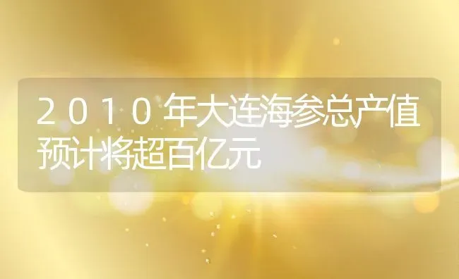 2010年大连海参总产值预计将超百亿元 | 动物养殖百科