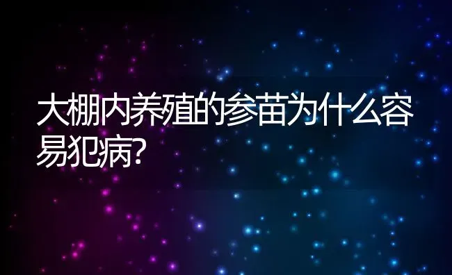 大棚内养殖的参苗为什么容易犯病？ | 动物养殖教程