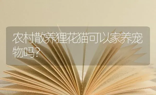 农村散养狸花猫可以家养宠物吗？ | 动物养殖问答