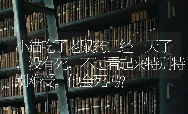 小猫吃了老鼠药已经一天了,没有死,不过看起来特别特别难受，他会死吗？ | 动物养殖问答