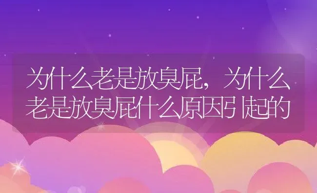 为什么老是放臭屁,为什么老是放臭屁什么原因引起的 | 宠物百科知识