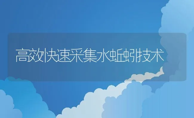 高效快速采集水蚯蚓技术 | 水产养殖知识