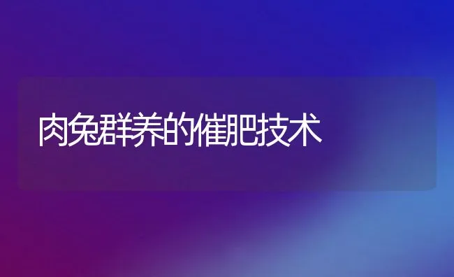 肉兔群养的催肥技术 | 水产养殖知识