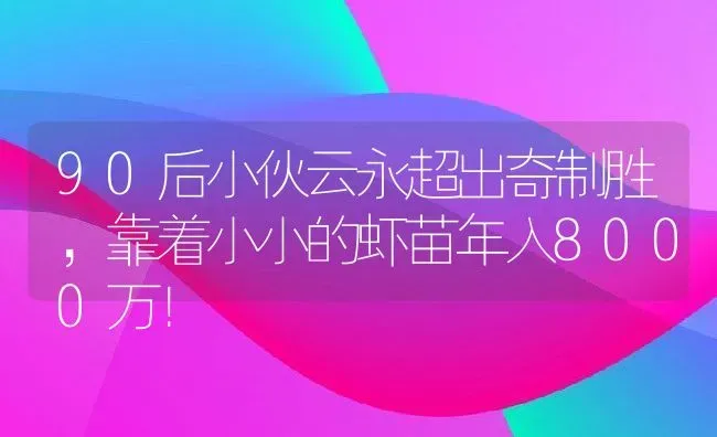 90后小伙云永超出奇制胜，靠着小小的虾苗年入8000万！ | 动物养殖百科