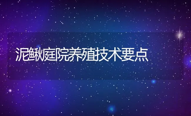 泥鳅庭院养殖技术要点 | 水产养殖知识