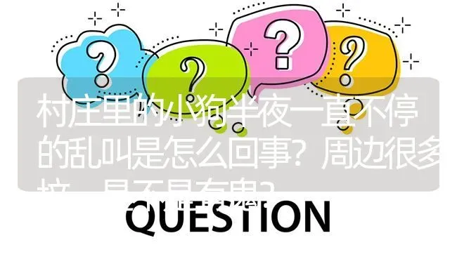 村庄里的小狗半夜一直不停的乱叫是怎么回事？周边很多坟，是不是有鬼？ | 动物养殖问答