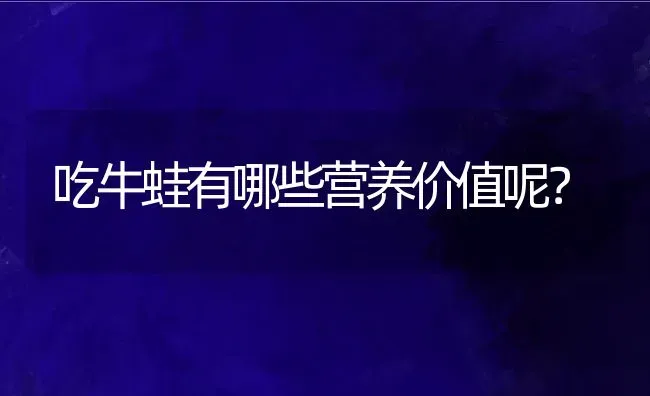 吃牛蛙有哪些营养价值呢？ | 动物养殖百科