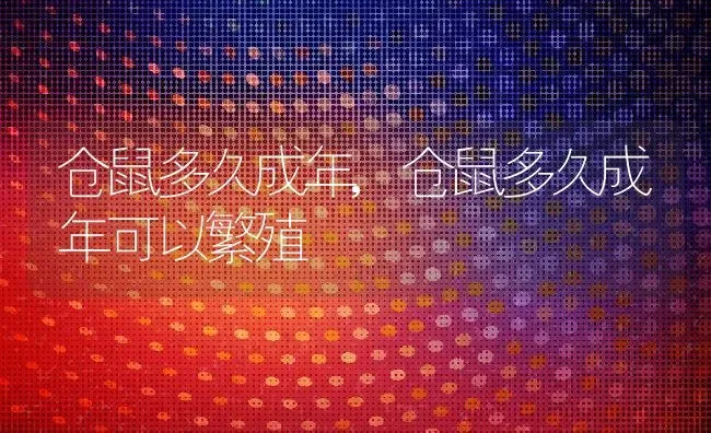 仓鼠多久成年,仓鼠多久成年可以繁殖 | 宠物百科知识