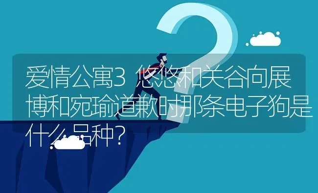 爱情公寓3悠悠和关谷向展博和宛瑜道歉时那条电子狗是什么品种？ | 动物养殖问答