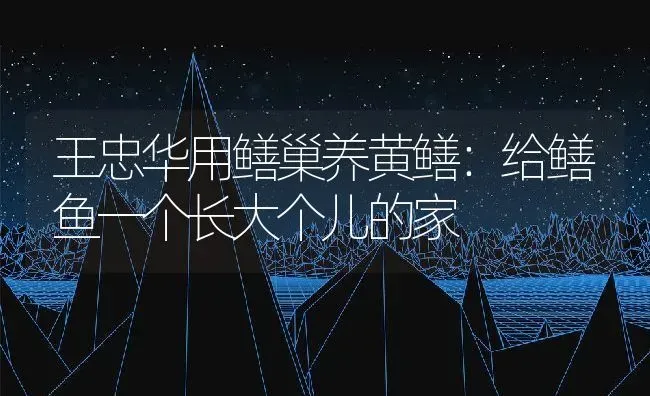 池养黄鳝技术 | 动物养殖百科