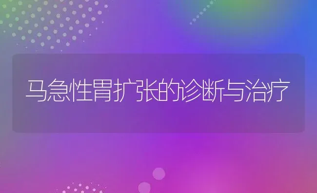 马急性胃扩张的诊断与治疗 | 家畜养殖技术