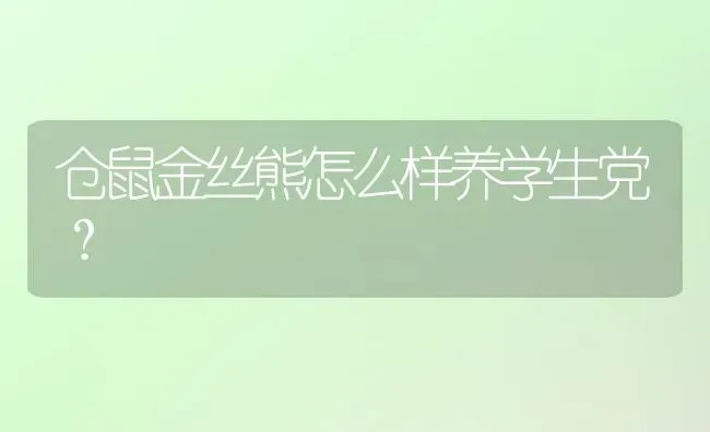 仓鼠金丝熊怎么样养学生党？ | 动物养殖问答