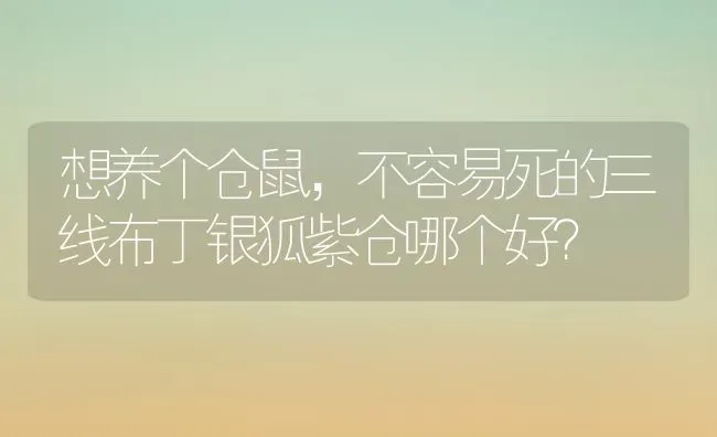 为啥三只小猫的眼睛都睁不开了，有黄白色的粘液结痂？ | 动物养殖问答