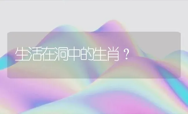 生活在洞中的生肖？ | 动物养殖问答