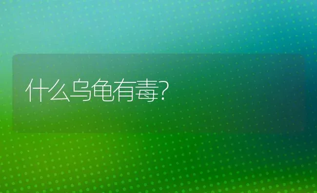 为什么柯基一看到我就趴下？ | 动物养殖问答