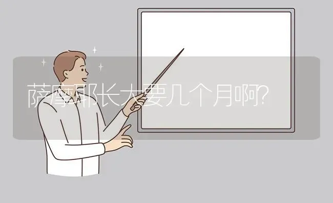 萨摩耶长大要几个月啊？ | 动物养殖问答