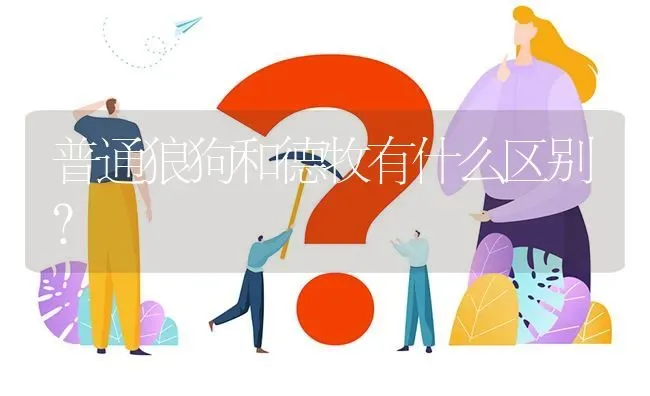 普通狼狗和德牧有什么区别？ | 动物养殖问答