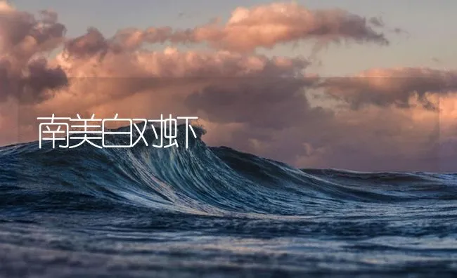 南美白对虾 | 海水养殖技术