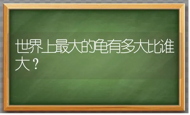 世界上最大的龟有多大比谁大？ | 动物养殖问答