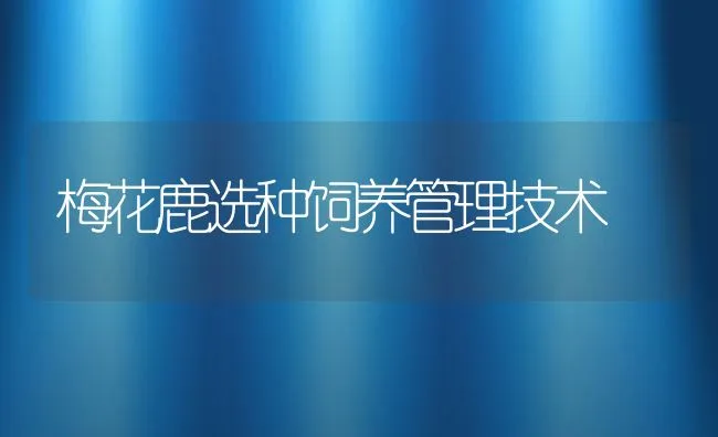 梅花鹿选种饲养管理技术 | 水产养殖知识