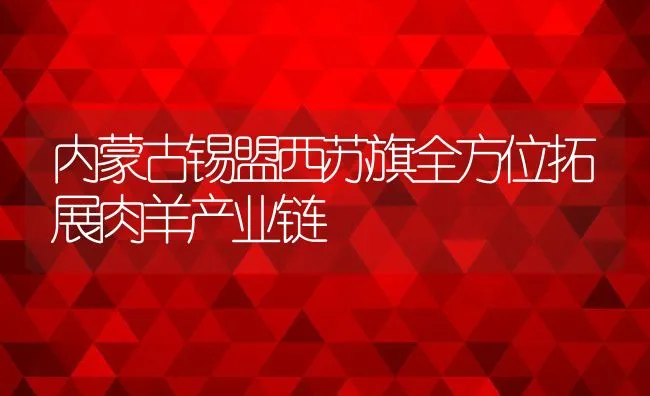 内蒙古锡盟西苏旗全方位拓展肉羊产业链 | 动物养殖饲料