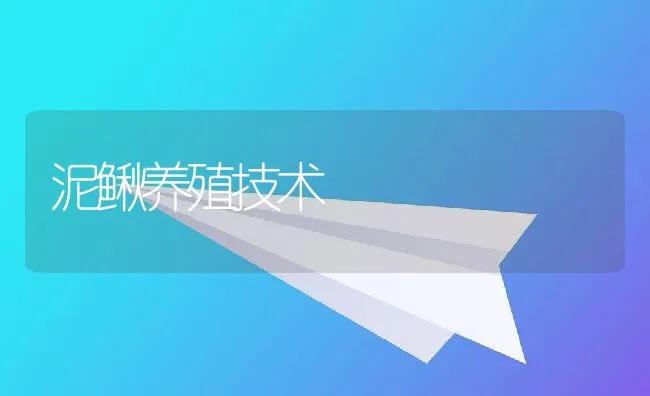 泥鳅养殖技术 | 动物养殖饲料