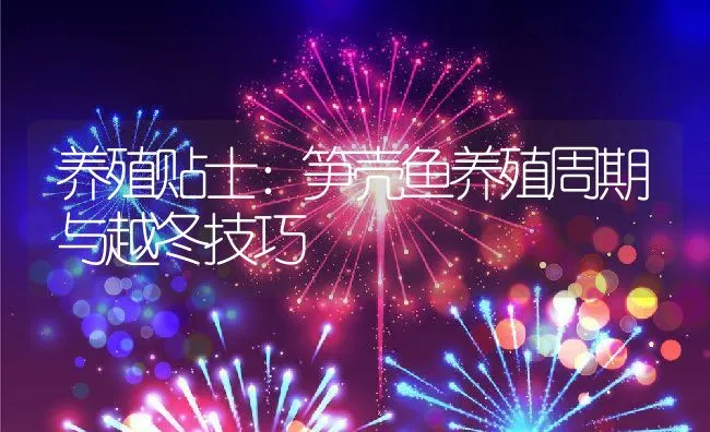 池塘青虾生态高效养殖新技术 | 海水养殖技术