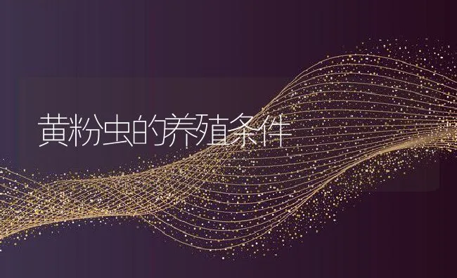 黄粉虫的养殖条件 | 水产养殖知识