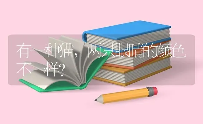 一岁的边牧还能帮助他立耳吗？ | 动物养殖问答