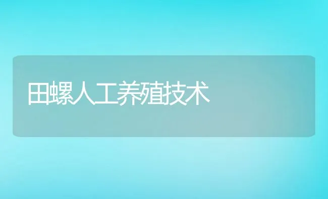 田螺人工养殖技术 | 动物养殖饲料