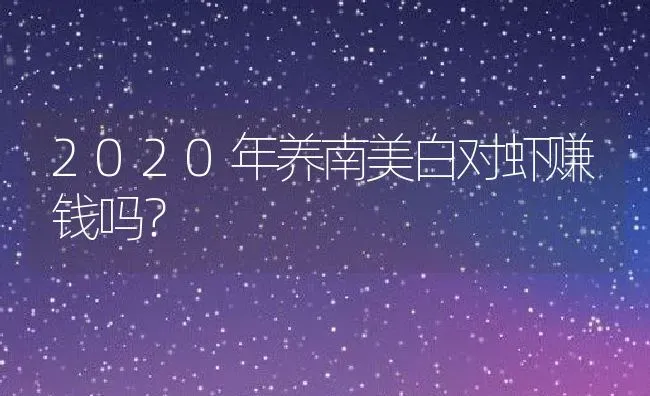 2020年养南美白对虾赚钱吗？ | 动物养殖百科