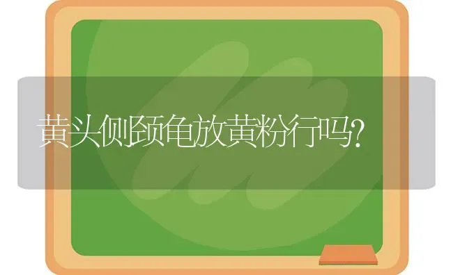 吉娃娃成年后一般多少身长？ | 动物养殖问答