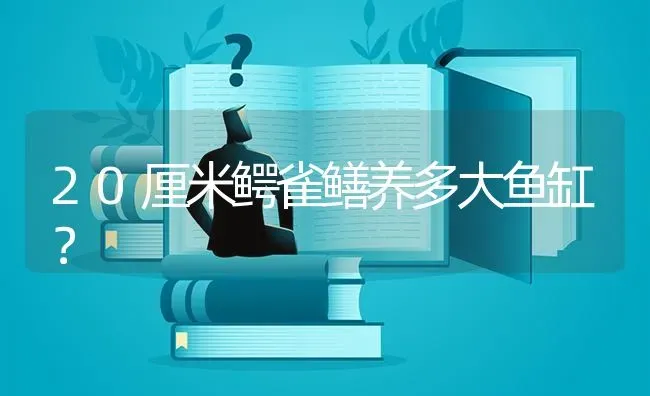 20厘米鳄雀鳝养多大鱼缸？ | 鱼类宠物饲养