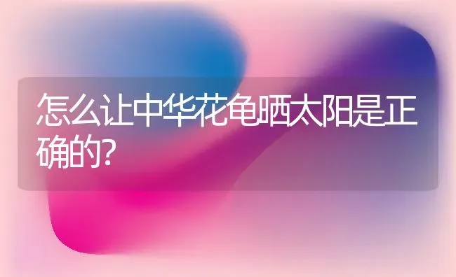 杰克罗素梗与太仓犬的区别？ | 动物养殖问答