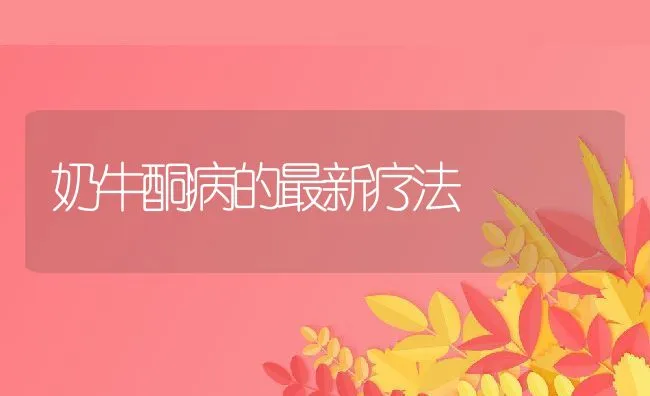 奶牛酮病的最新疗法 | 动物养殖学堂