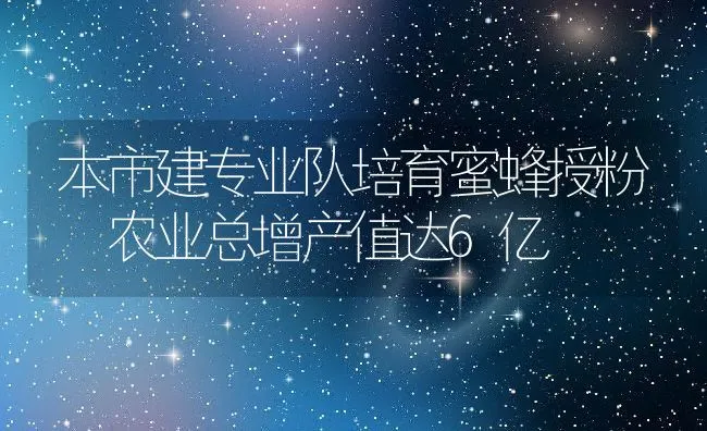 本市建专业队培育蜜蜂授粉 农业总增产值达6亿 | 水产养殖知识