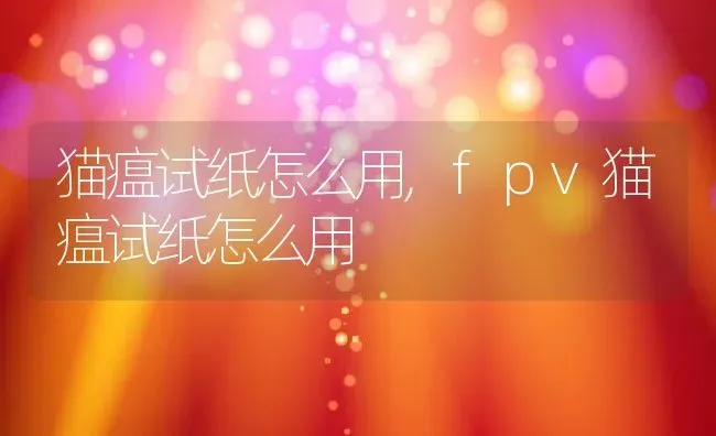 猫瘟试纸怎么用,fpv猫瘟试纸怎么用 | 宠物百科知识