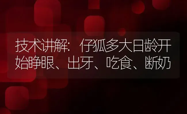 技术讲解:仔狐多大日龄开始睁眼、出牙、吃食、断奶 | 动物养殖百科