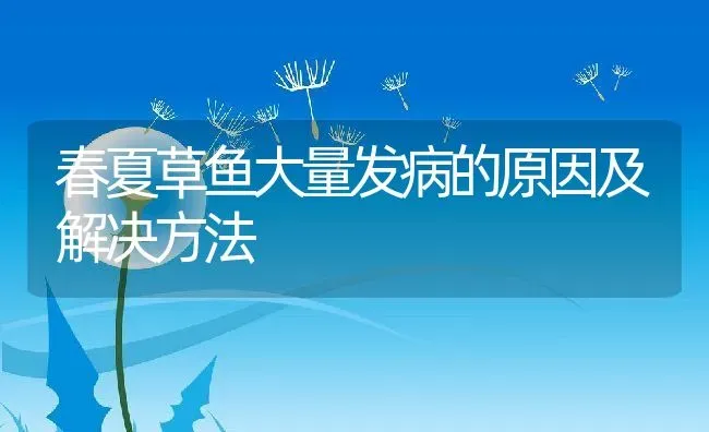 春夏草鱼大量发病的原因及解决方法 | 动物养殖百科