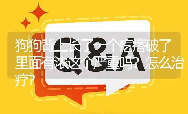 狗狗背上长了一个疙瘩破了里面有浓这个严重吗？怎么治疗？ | 动物养殖问答