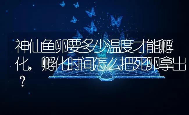 神仙鱼卵要多少温度才能孵化，孵化时间怎么把死卵拿出？ | 鱼类宠物饲养