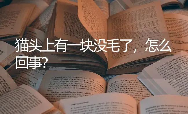 猫头上有一块没毛了，怎么回事？ | 动物养殖问答