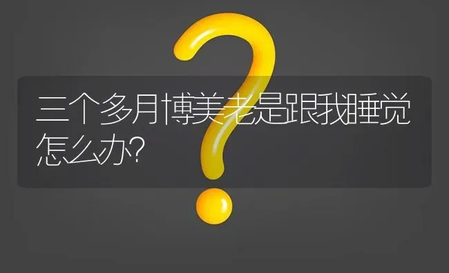 三个多月博美老是跟我睡觉怎么办？ | 动物养殖问答