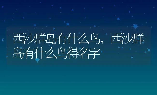 西沙群岛有什么鸟,西沙群岛有什么鸟得名字 | 宠物百科知识