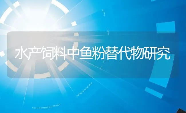 怎样预防鸡吃蛋和啄羽 | 动物养殖饲料