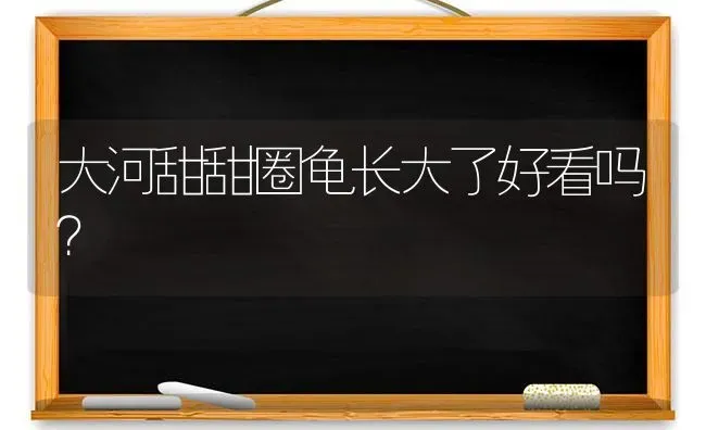 大河甜甜圈龟长大了好看吗？ | 动物养殖问答