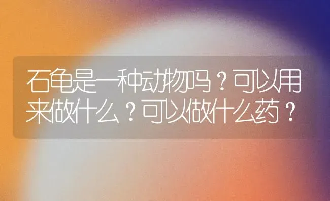 石龟是一种动物吗？可以用来做什么？可以做什么药？ | 动物养殖问答