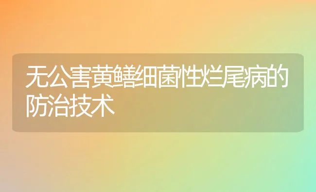 无公害黄鳝细菌性烂尾病的防治技术 | 水产养殖知识