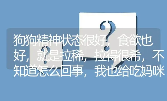 狗狗精神状态很好，食欲也好，就是拉稀，拉得很希，不知道怎么回事，我也给吃妈咪爱了？ | 动物养殖问答